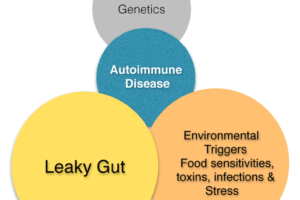 auto-immune-2png auto-immune-2png