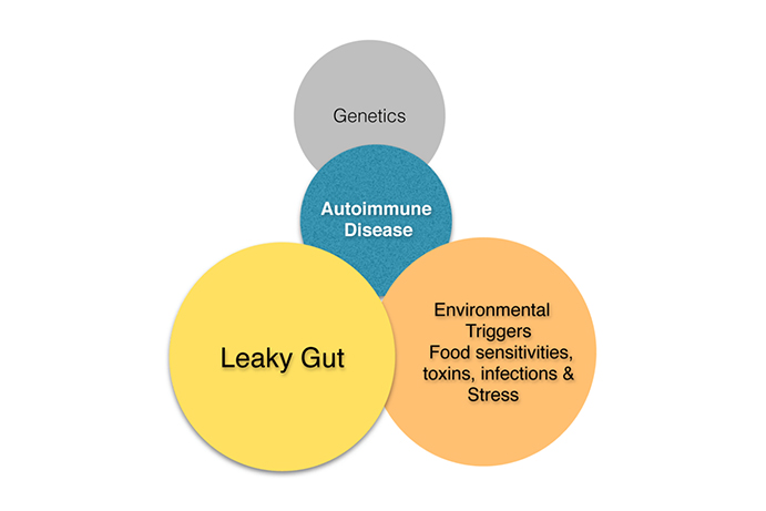 auto-immune disease, causes of autoimmune disease, leaky gut, genetics, toxins, food sensitivities