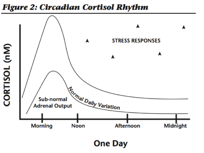 adrenal health, cortisol, fat loss, weight gain,